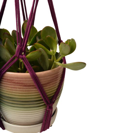 DIY Eco Macram�� Plant Hanger Kit