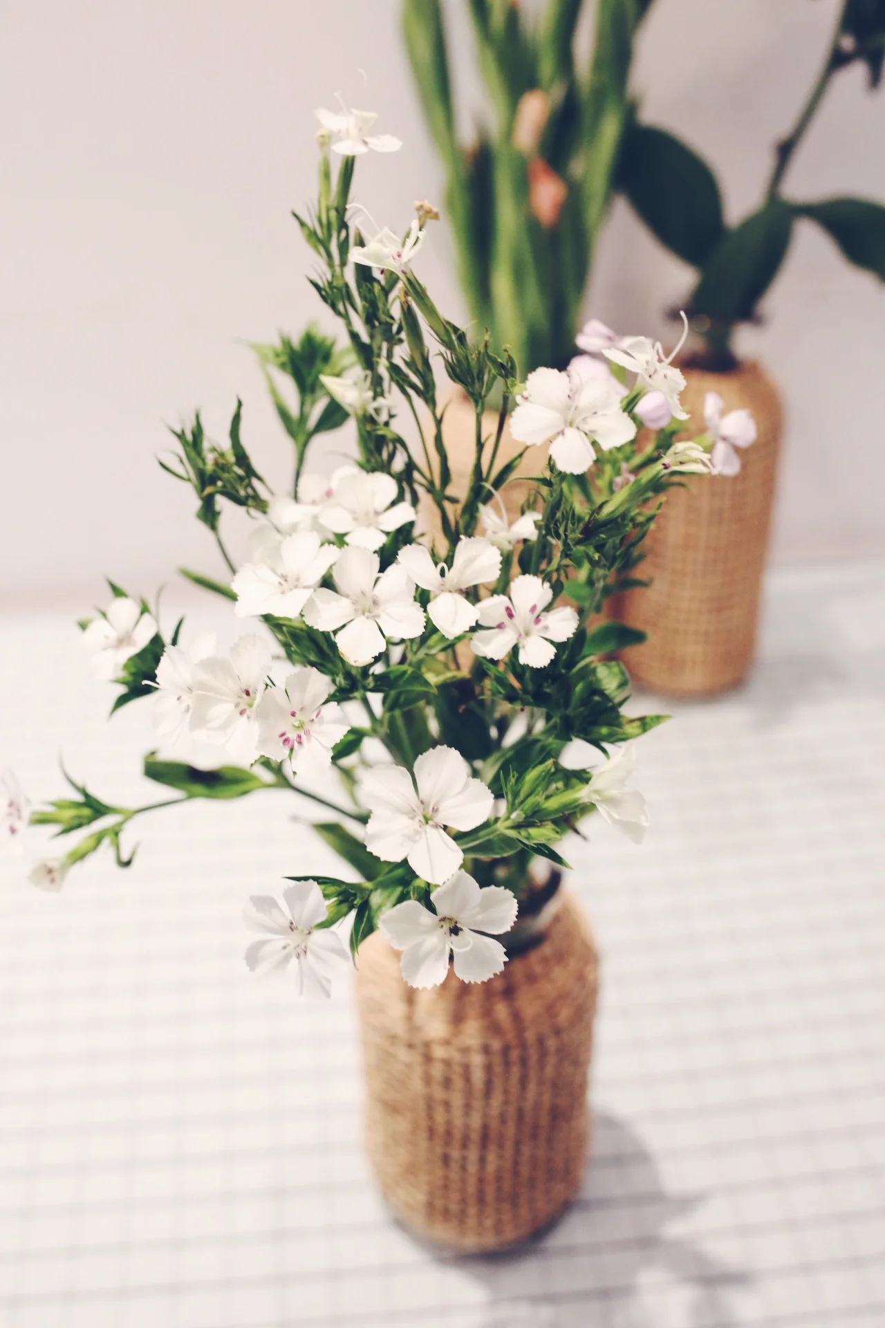 Large Flower Glass Vase with Hand Woven Straw Cover