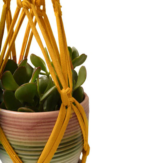 DIY Eco Macram�� Plant Hanger Kit