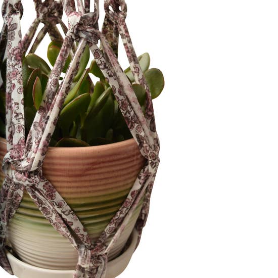 DIY Eco Macram�� Plant Hanger Kit