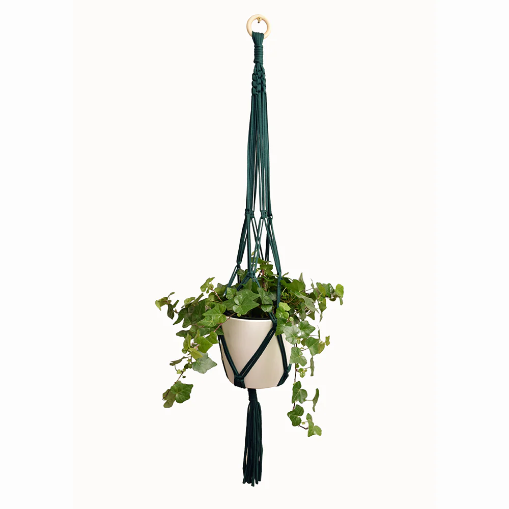 DIY Eco Macram�� Plant Hanger Kit
