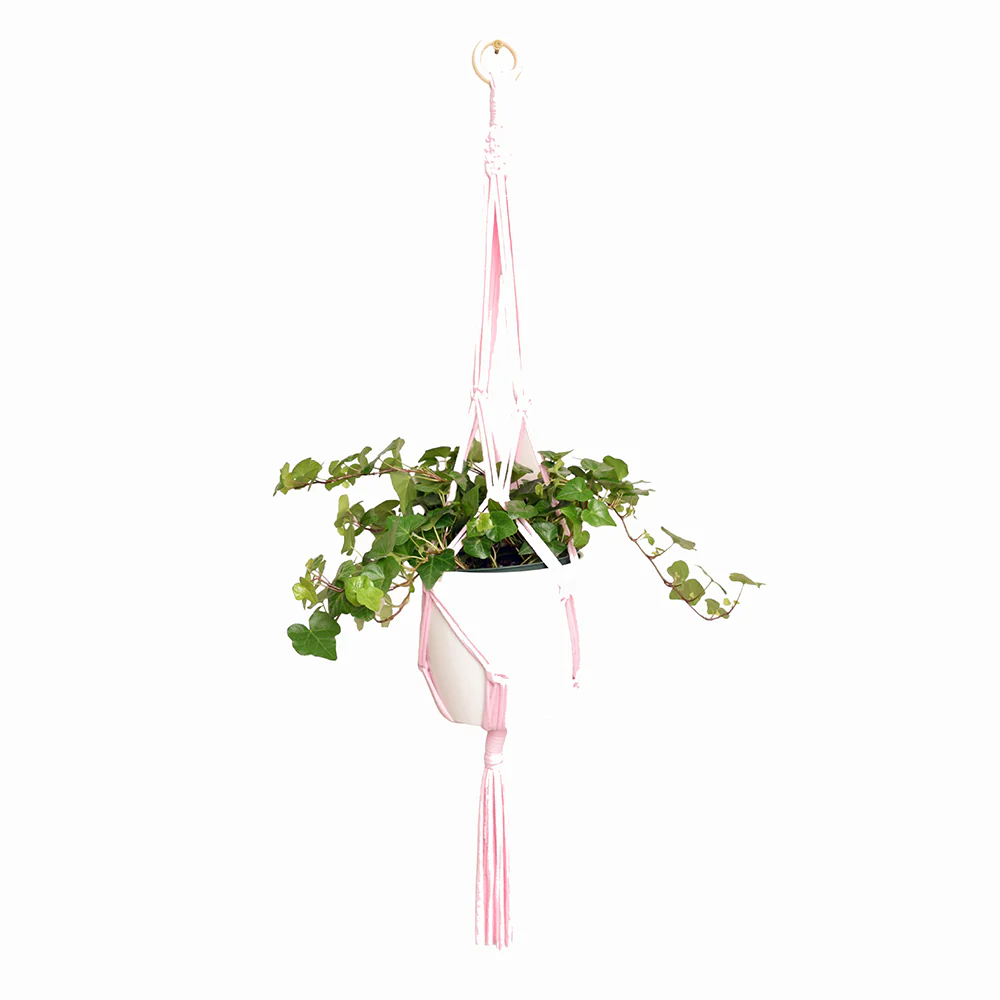 DIY Eco Macram�� Plant Hanger Kit
