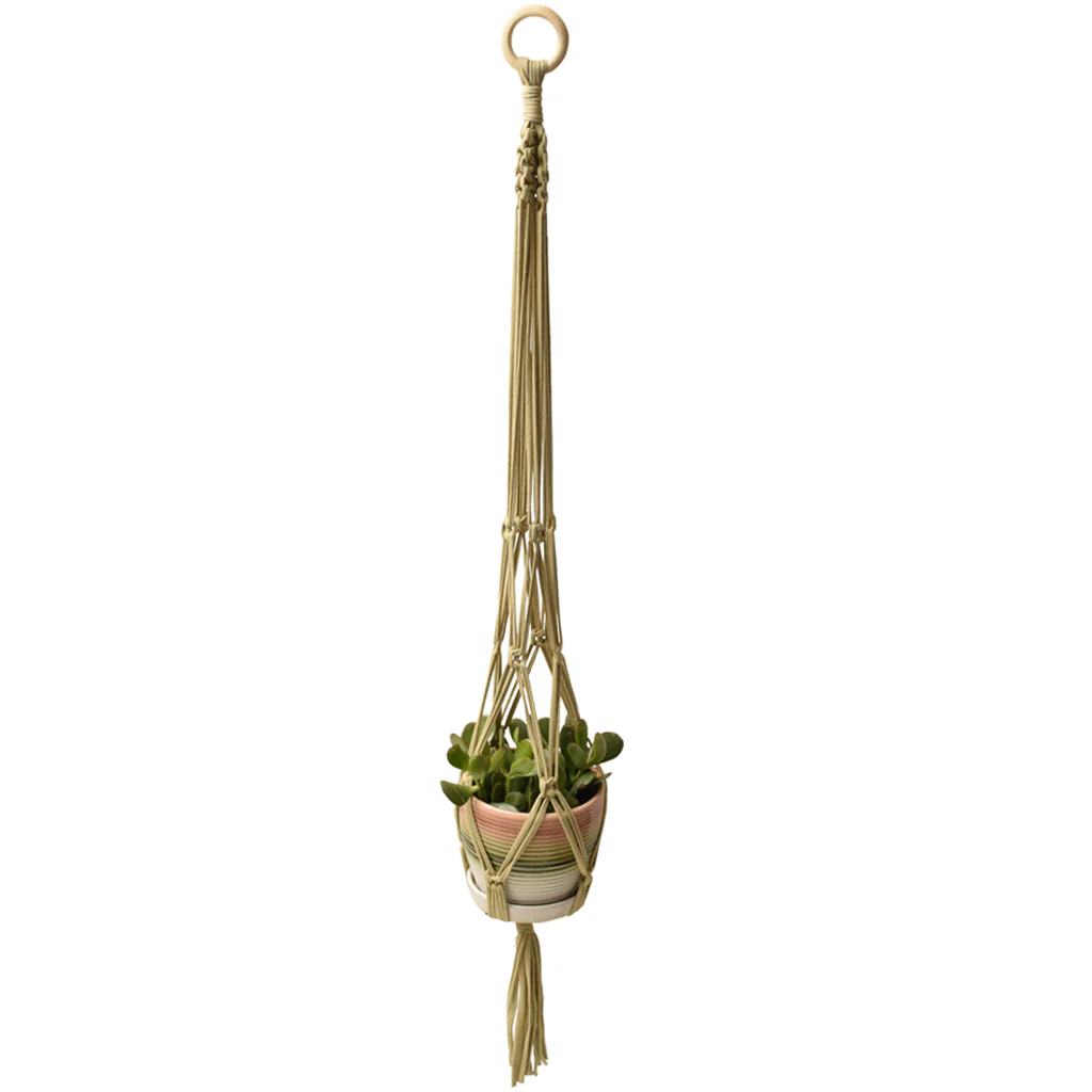 DIY Eco Macram�� Plant Hanger Kit