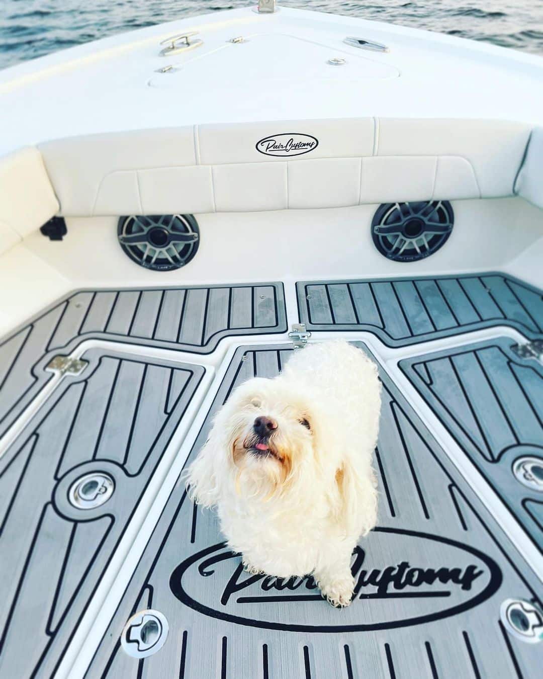 Hassle-Free Boating with Dogs: EVA Mats That Stay Clean