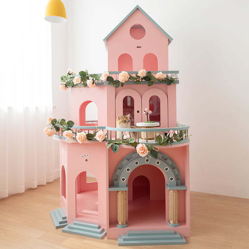 The Best Gift For Your Cats