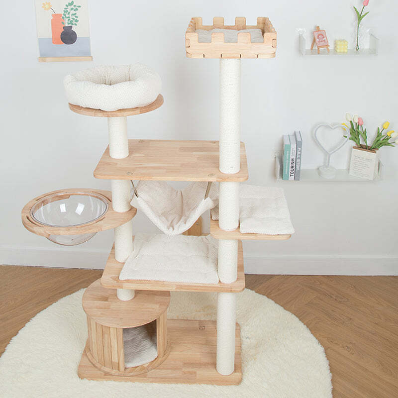 The Best Gift For Your Cats