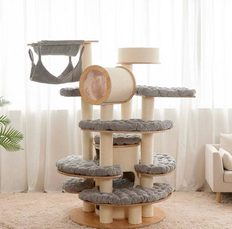 The Best Gift For Your Cats