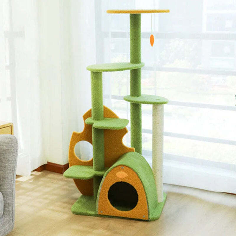 The Best Gift For Your Cats
