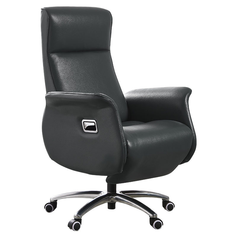 Aeron Backrest Boss Chair