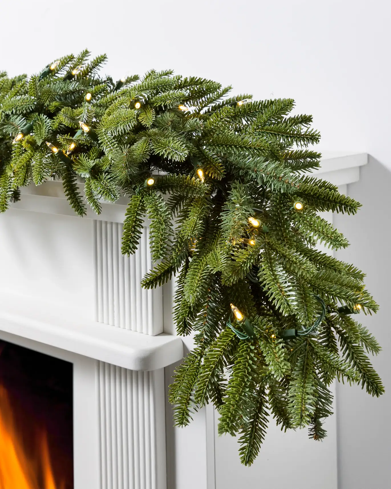 Fraser Fir Foliage