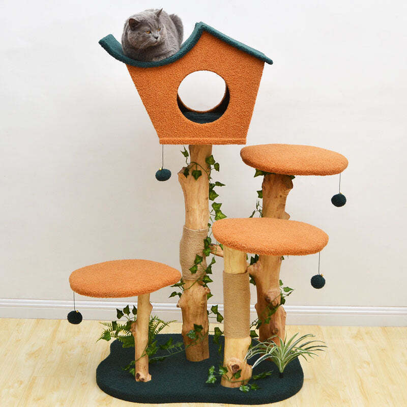 The Best Gift For Your Cats