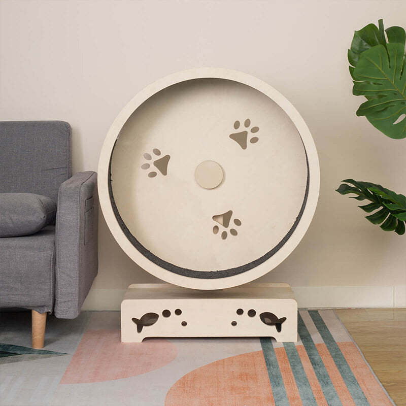 The Best Gift For Your Cats