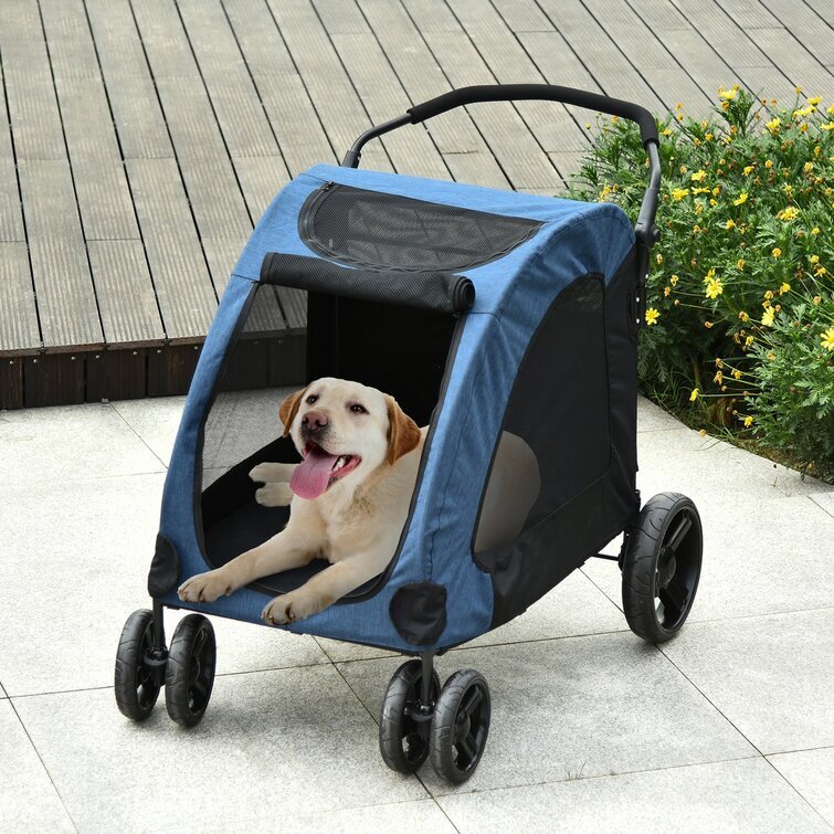 Ewell Folding Standard Stroller with Detachable Carrier
