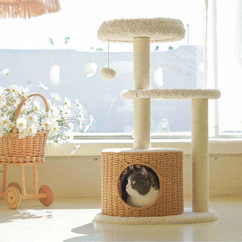 The Best Gift For Your Cats
