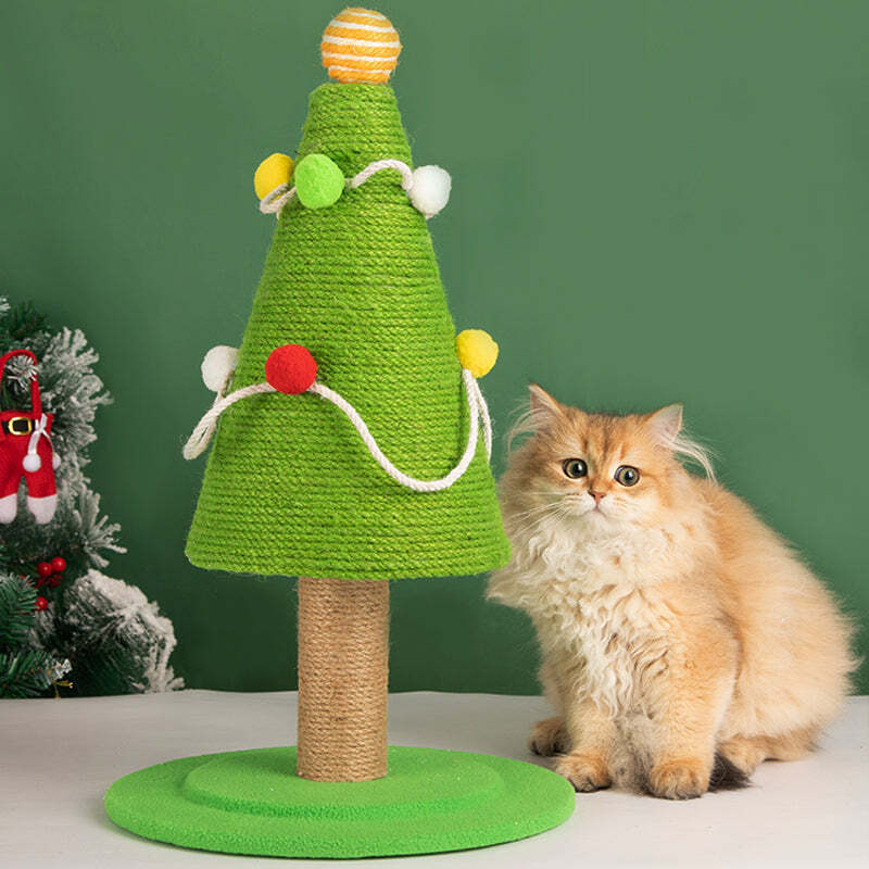 The Best Gift For Your Cats