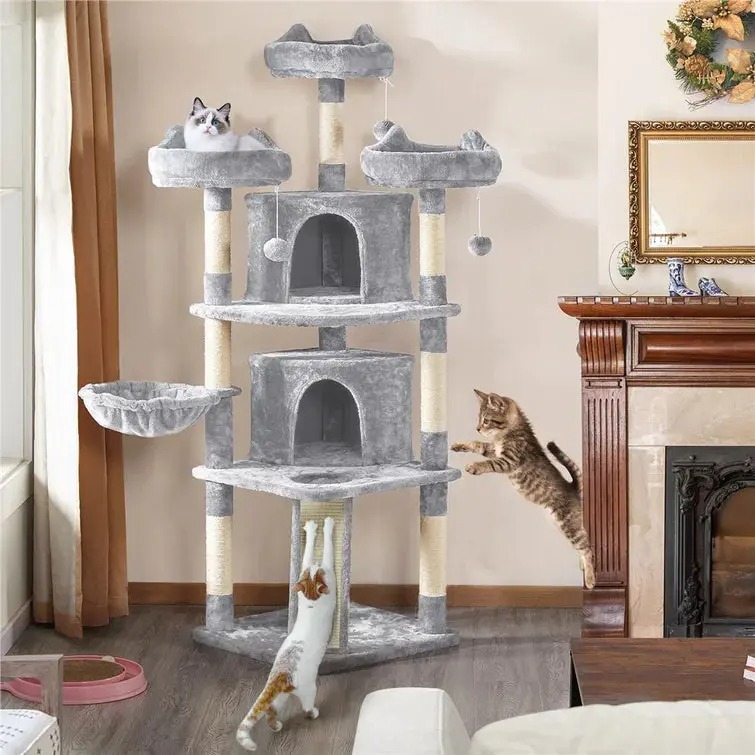 The Best Gift For Your Cats