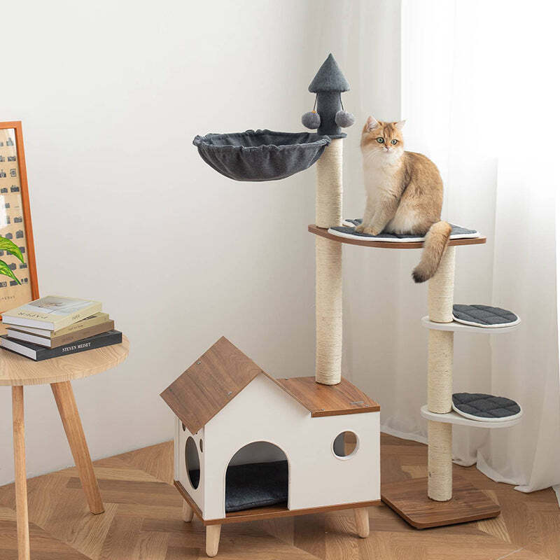 The Best Gift For Your Cats