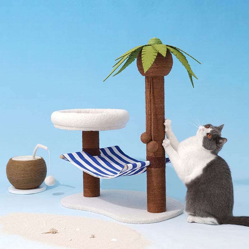 The Best Gift For Your Cats