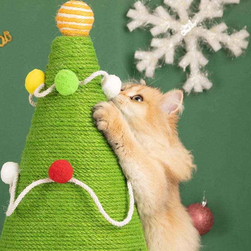 The Best Gift For Your Cats