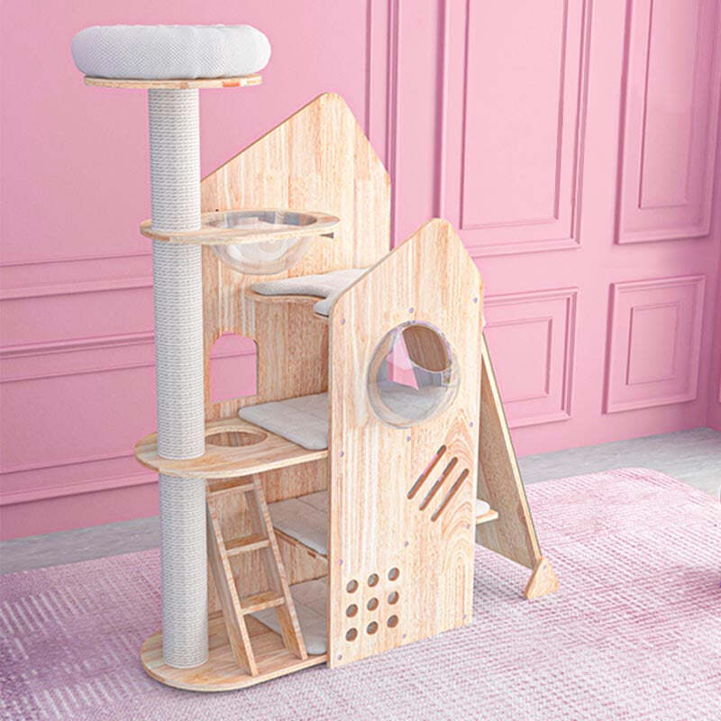 The Best Gift For Your Cats