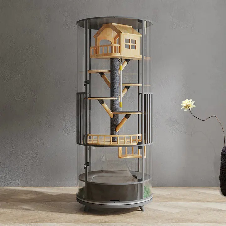 The Best Gift For Your Cats