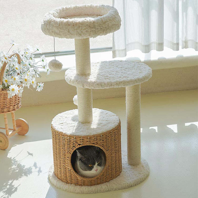 The Best Gift For Your Cats