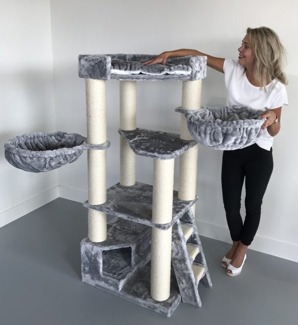 The Best Gift For Your Cats