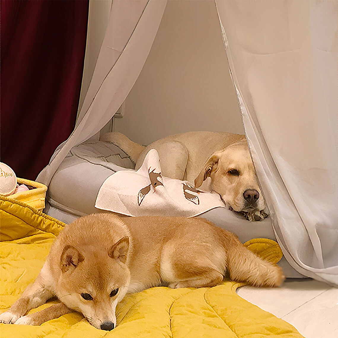Leaf Shape Dog Blanket With Donut Dog Bed