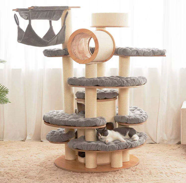 The Best Gift For Your Cats