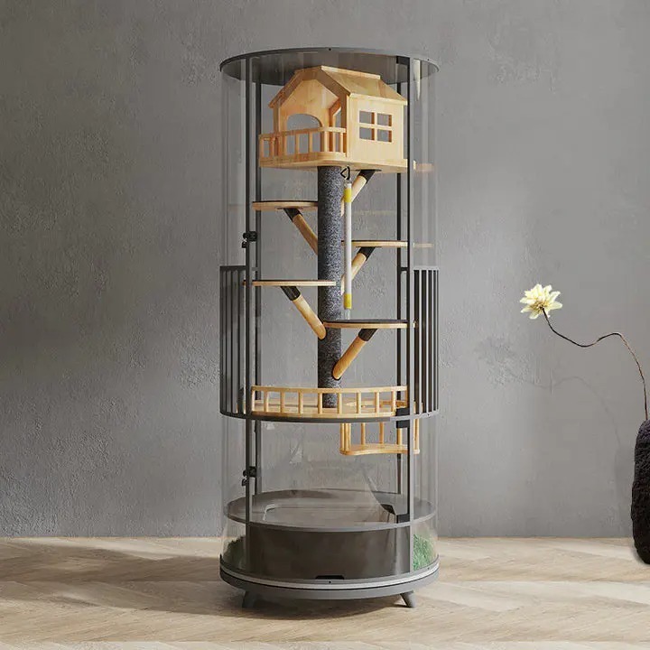 The Best Gift For Your Cats
