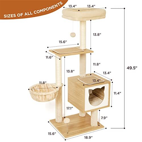 The Best Gift For Your Cats