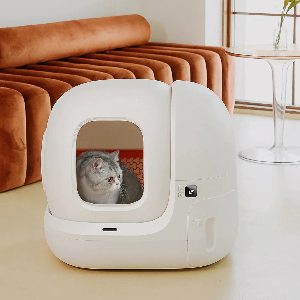 The Best Gift For Your Cats