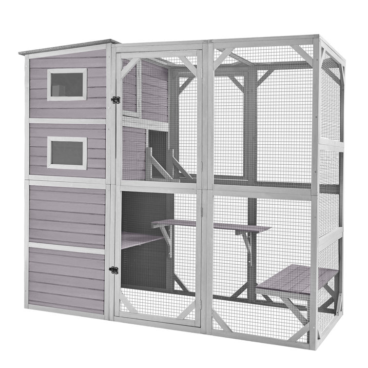 Aivituvin Cat House