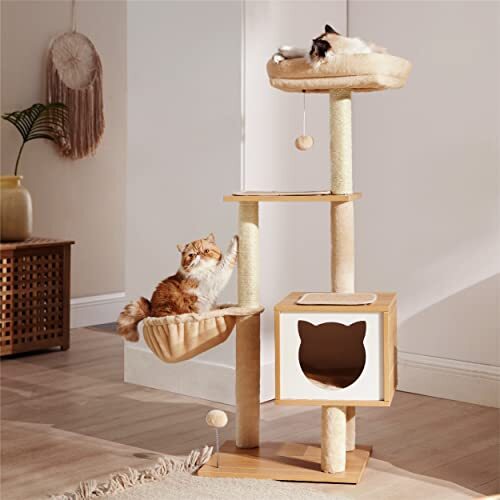 The Best Gift For Your Cats