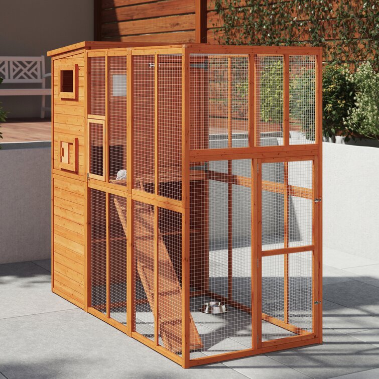 Esquina Outdoor Enclosure Ramp and Main Cat Cage