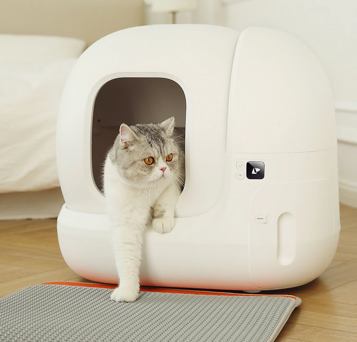 The Best Gift For Your Cats