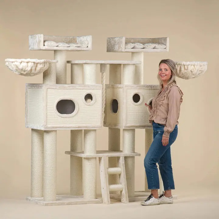 The Best Gift For Your Cats