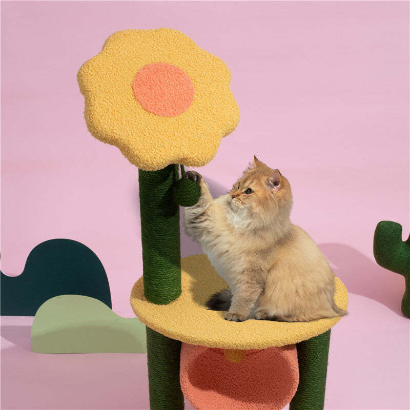 The Best Gift For Your Cats