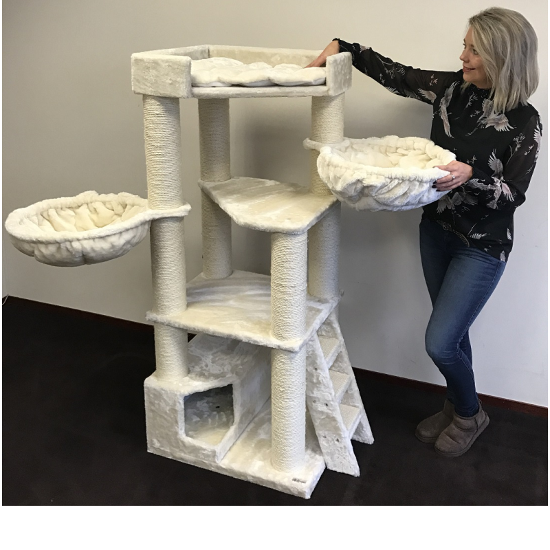 The Best Gift For Your Cats