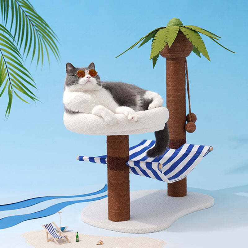 The Best Gift For Your Cats