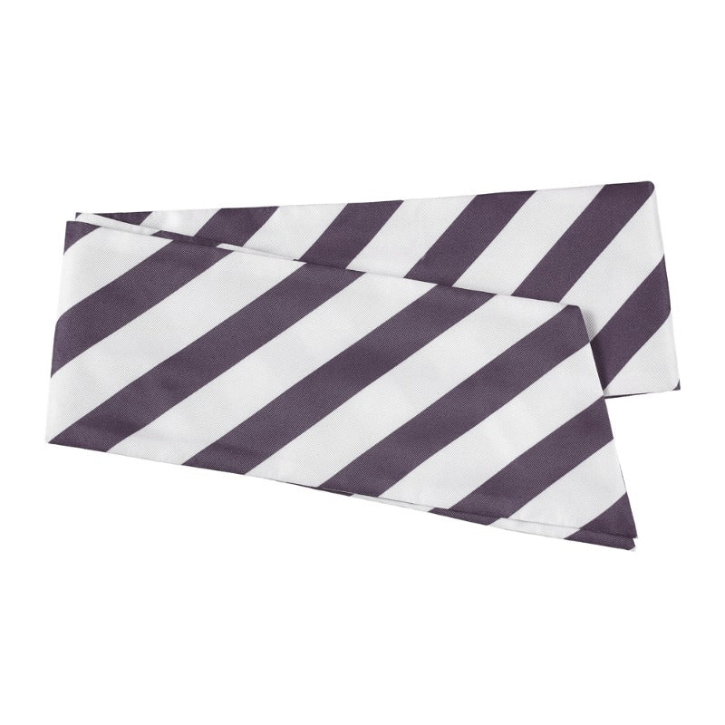 Костюм для косплея Марии Кадензавны Евы из Symphogear, пятый униформа