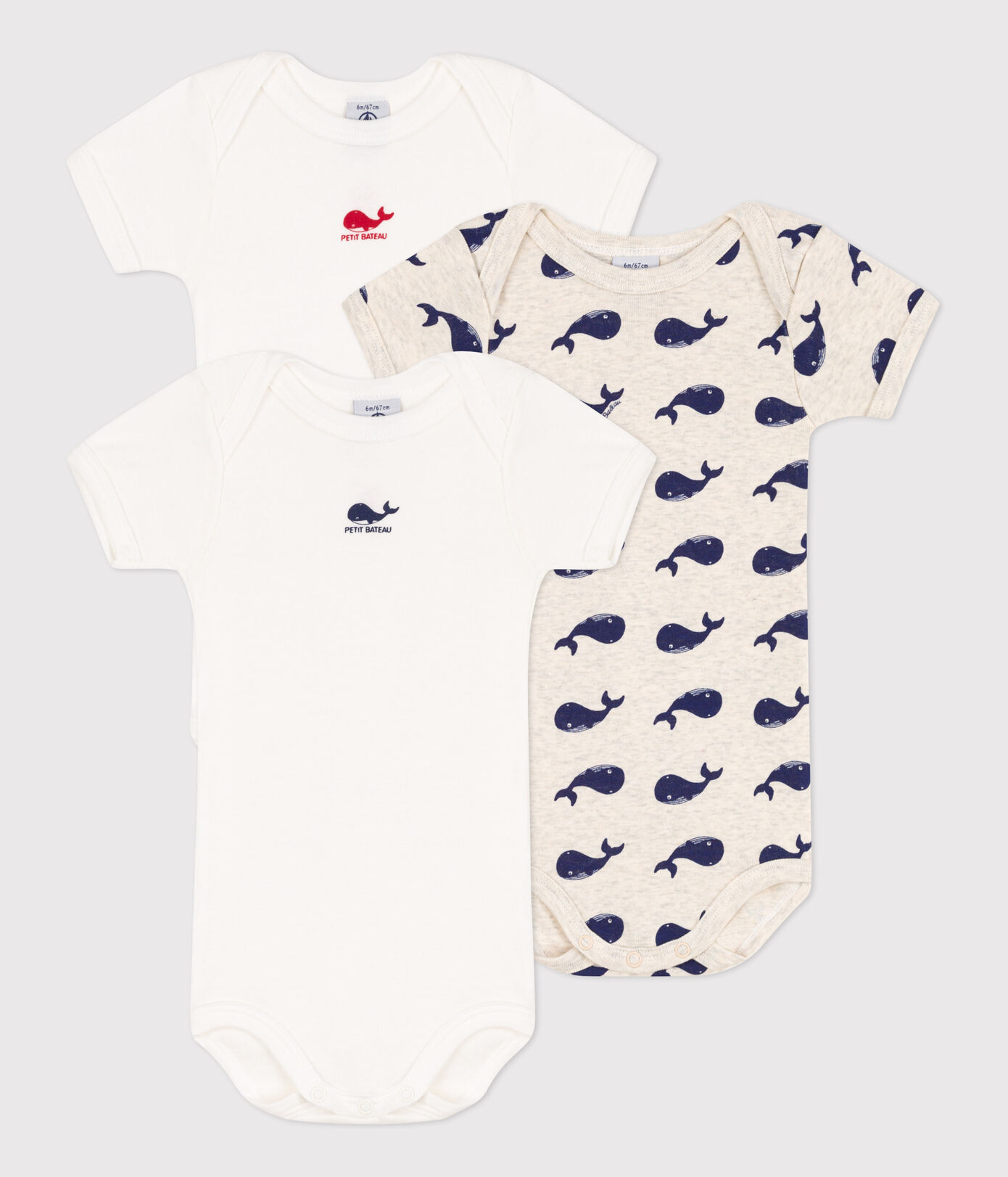 Lot de 3 bodies manches courtes baleines en coton