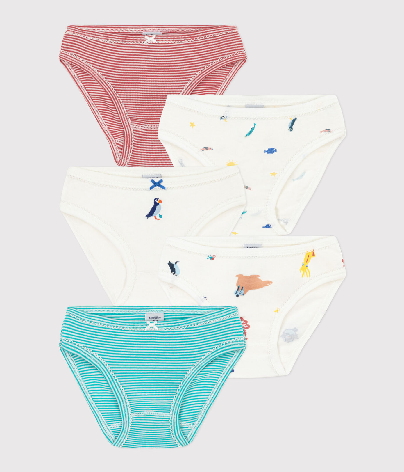 Lot de 5 culottes en coton petite fille