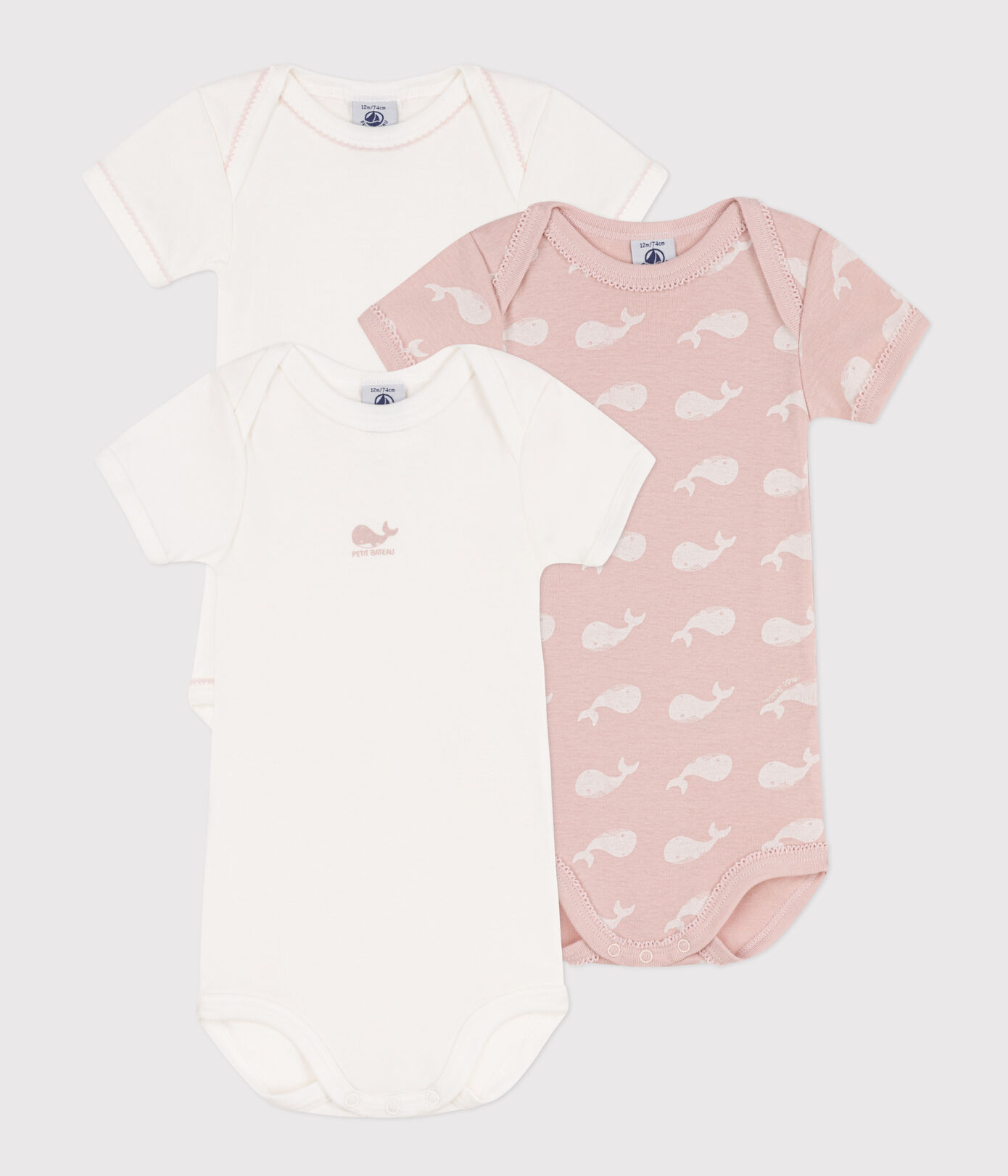 Lot de 3 bodies manches courtes baleines en coton