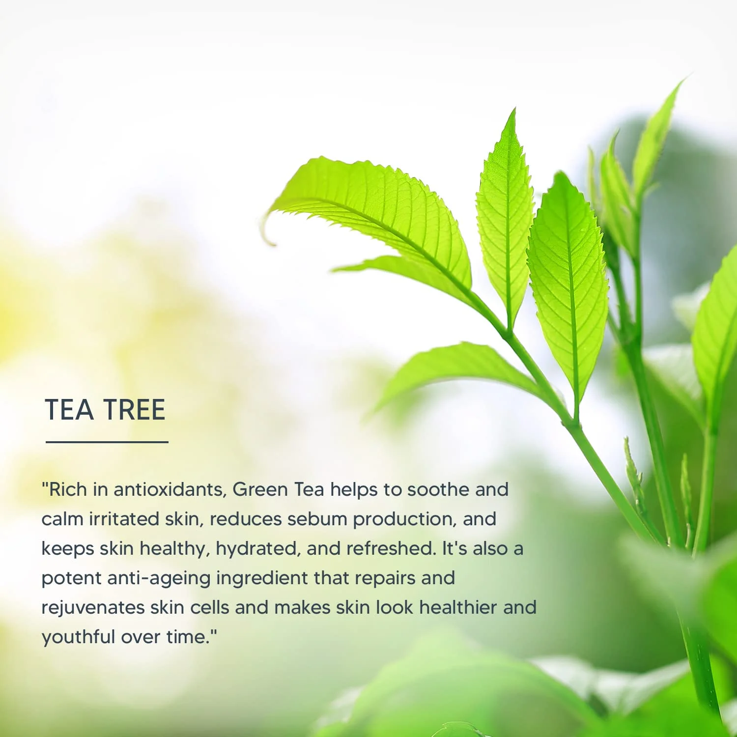 Lotus Professional PhytoRx Silk Matte Cream Sun defence | SPF 50 | PA+++ | Refreshing | Preservative free | 75g