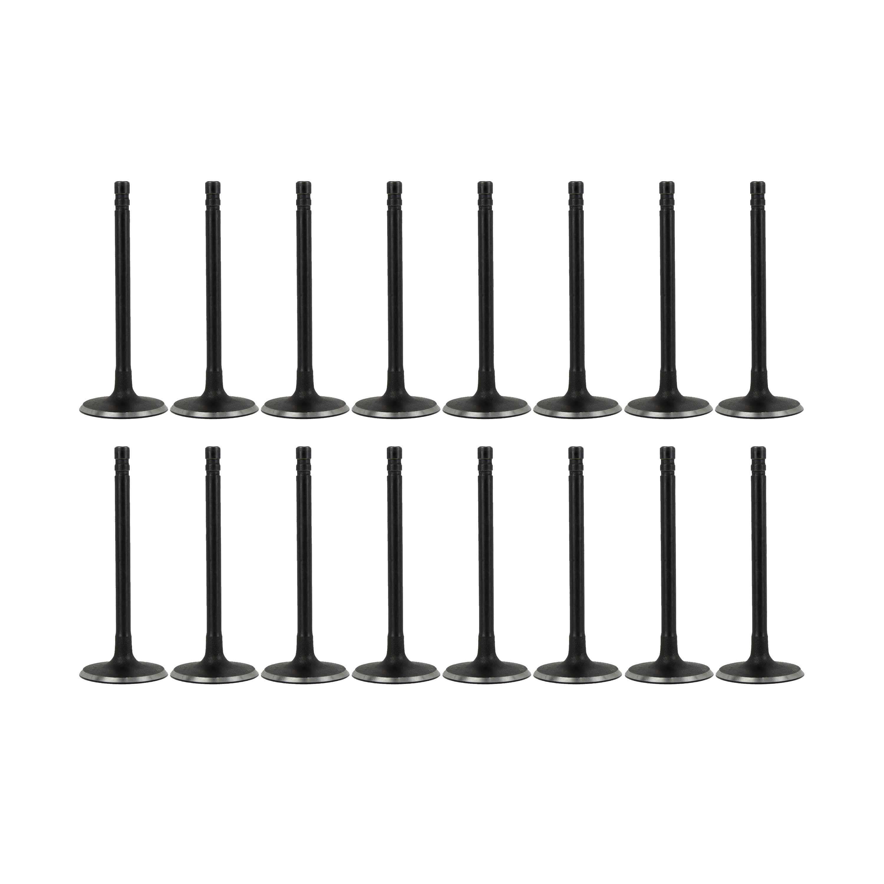 DNJ VK164149 Exhaust Intake Valve Kit Fits Cars & Trucks 1999-2016 Ford, Lincoln, Mercury V8 4.6L, 5.4L SOHC 16V EV4149 X8 IV4149 X8