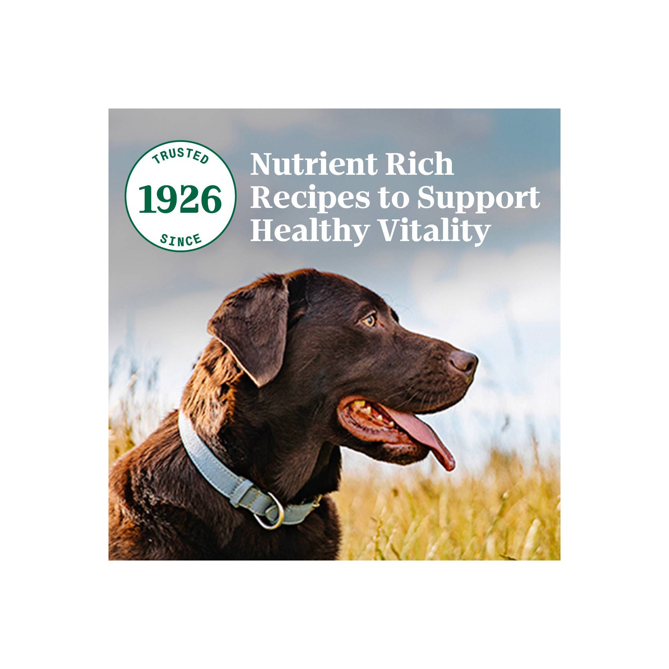 Natural Choice Lamb & Brown Rice Adult Dry Dog Food - 30lbs