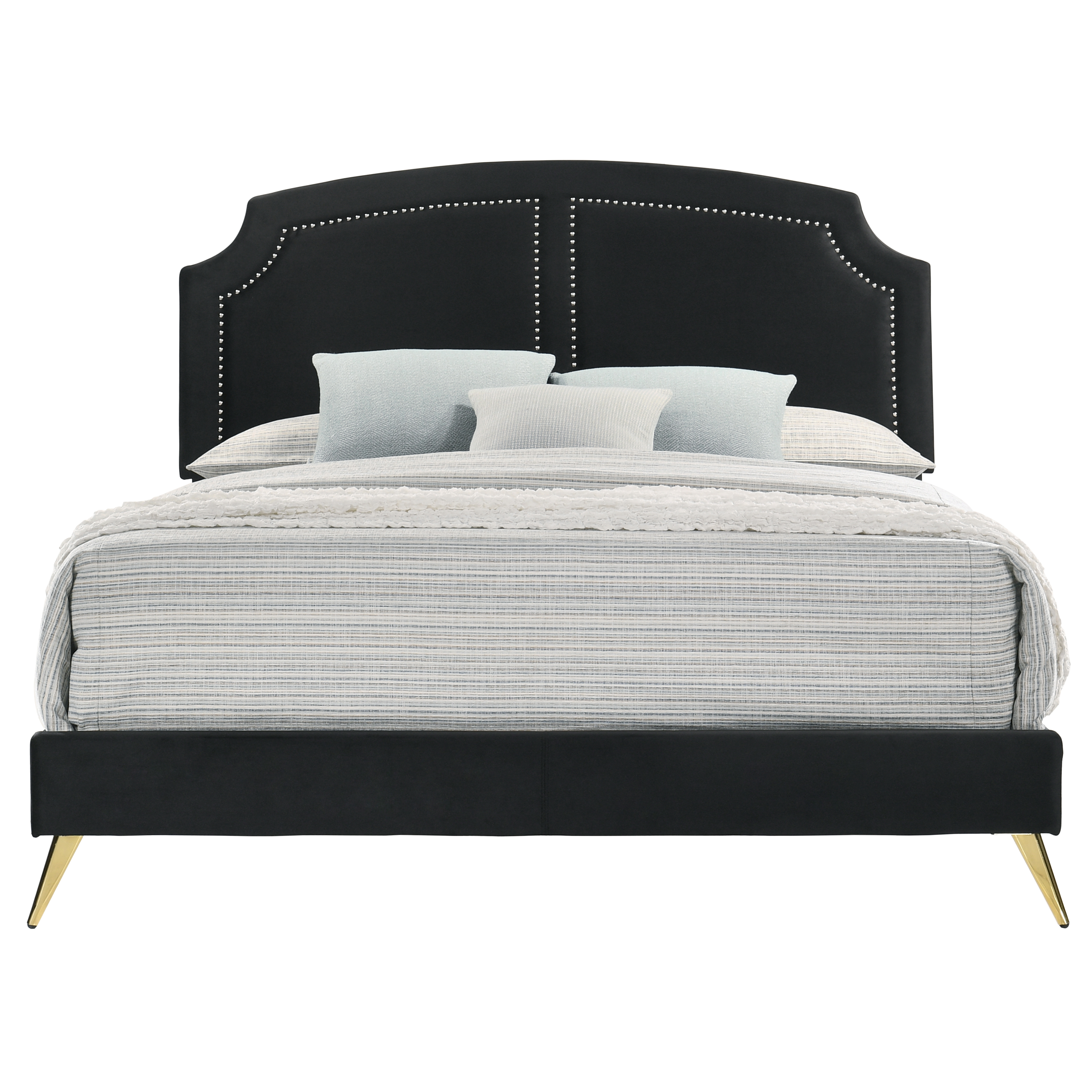 ACME Zeena Queen Bed in Black Velvet