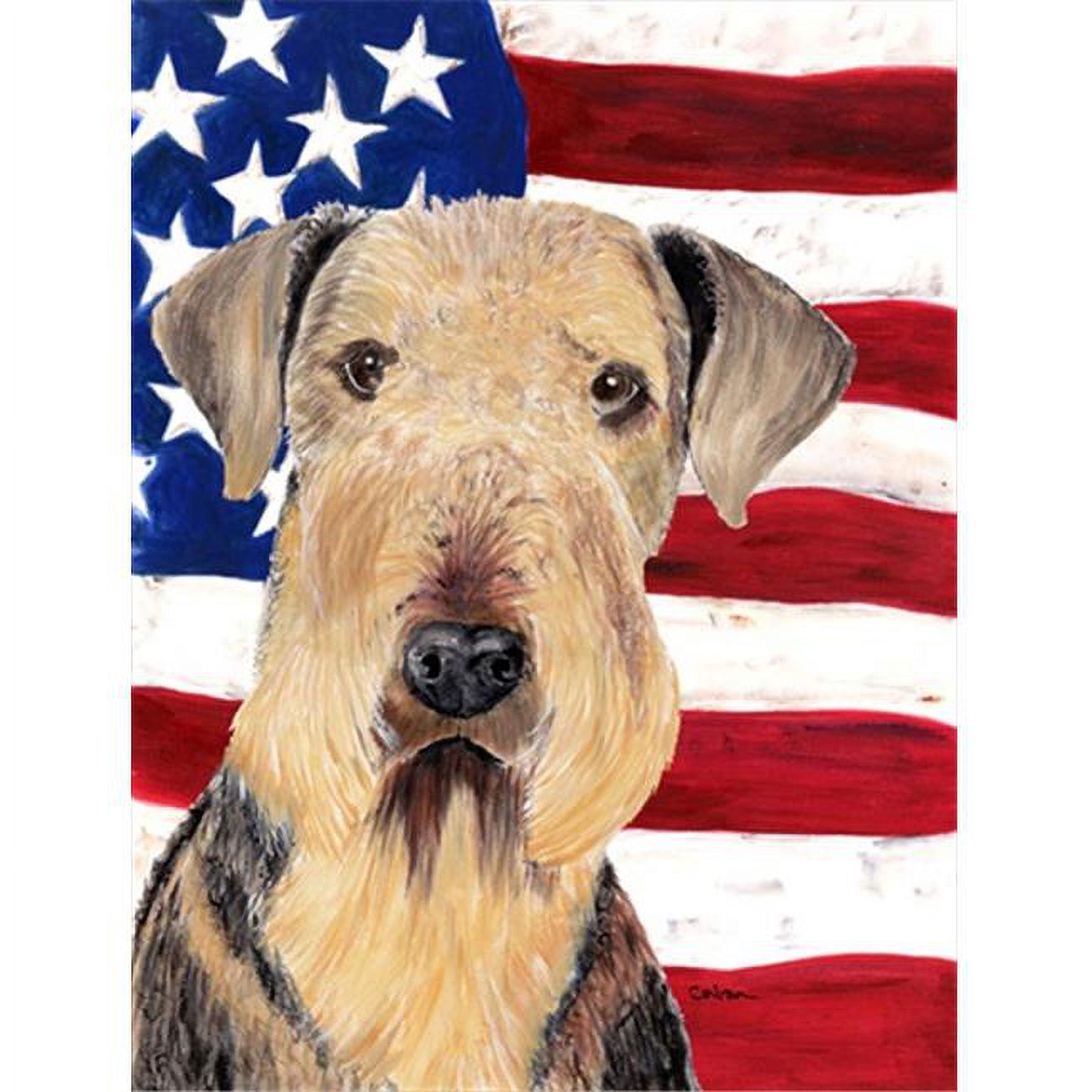 Carolines Treasures  Usa American Flag With Airedale Flag Canvas House Size