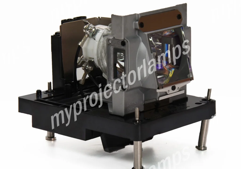 Dukane DT01591 Projector Lamp with Module